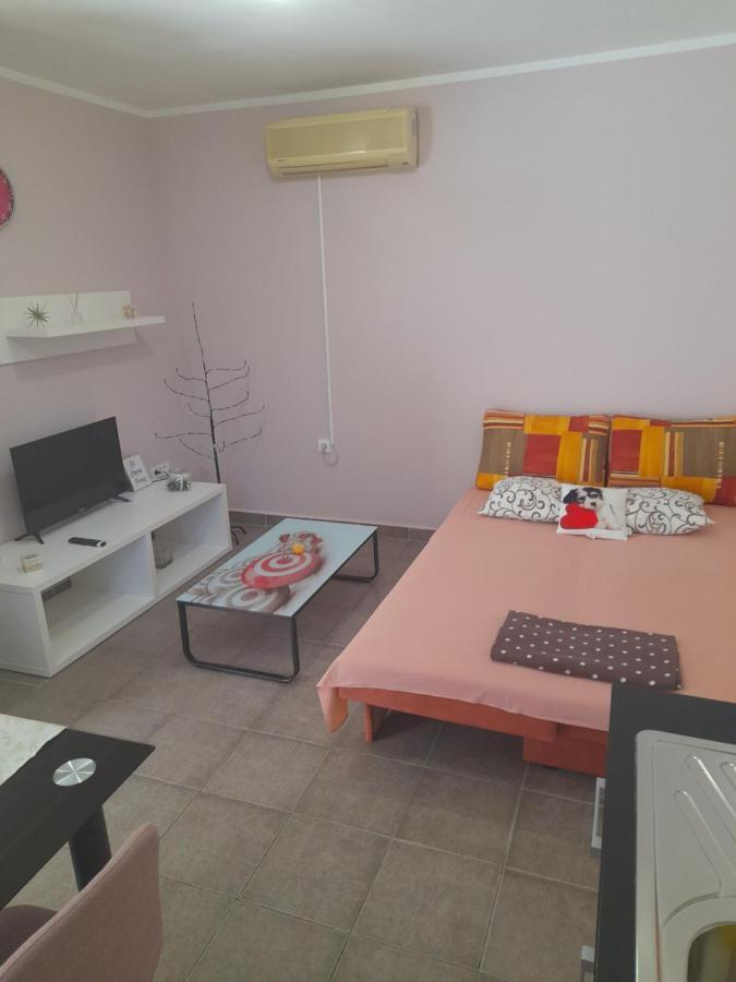 Apartment Dukic Sveti Filip i Jakov Buitenkant foto