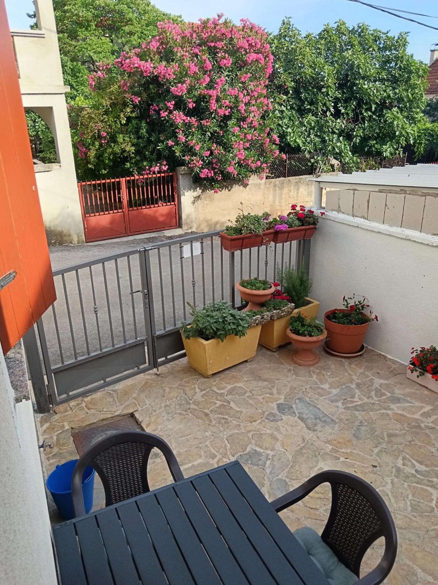 Apartment Dukic Sveti Filip i Jakov Buitenkant foto
